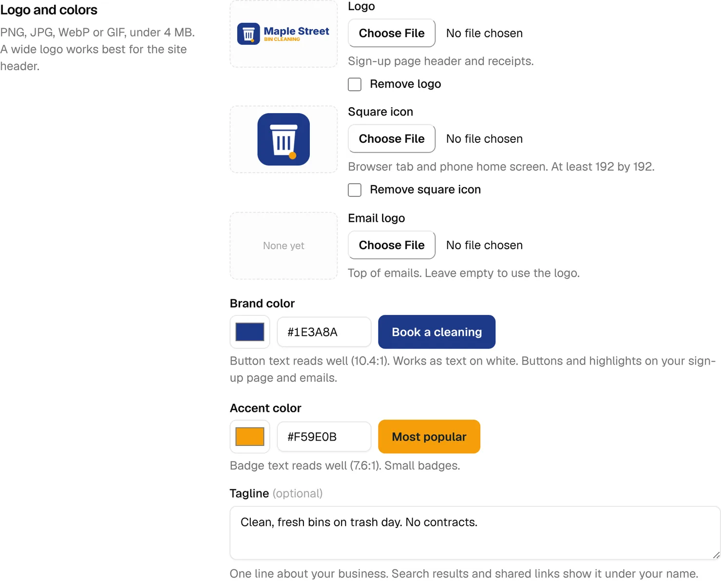 Logo and colors after: a logo and square icon uploaded, a navy brand color and an amber accent color with their readability checks, and a tagline