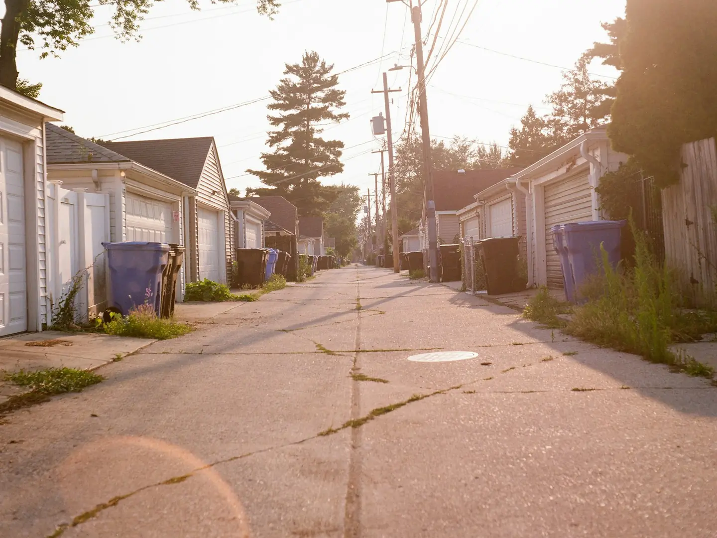 Blue and black carts set out beside garage doors in a sunlit back alley