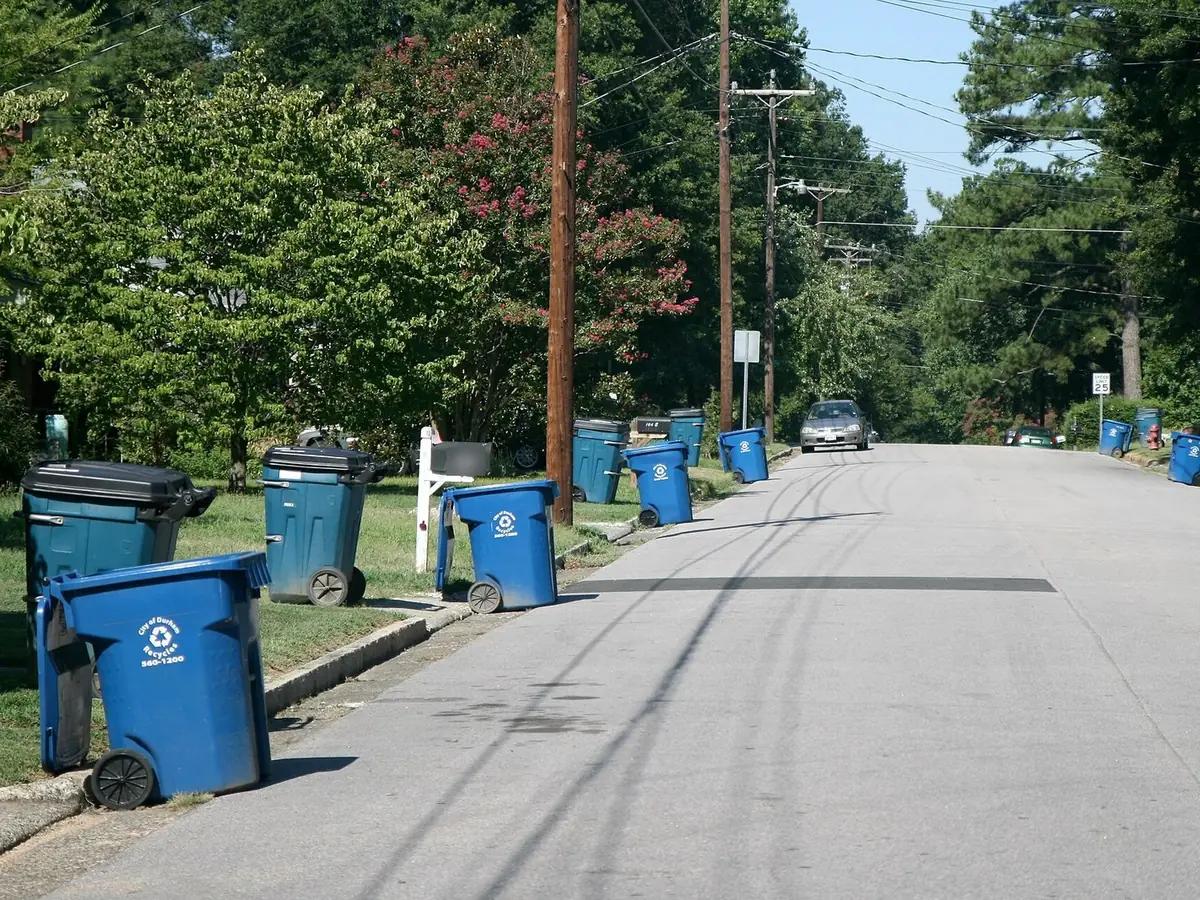 A tree-lined street on trash day, with blue and green carts set out along both curbs